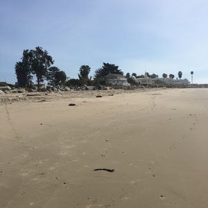 Meet your Posher, Sammy